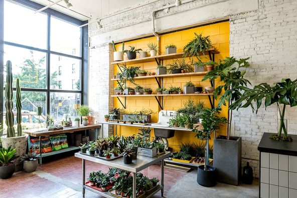 59 Grand St, Brooklyn, NY 11249